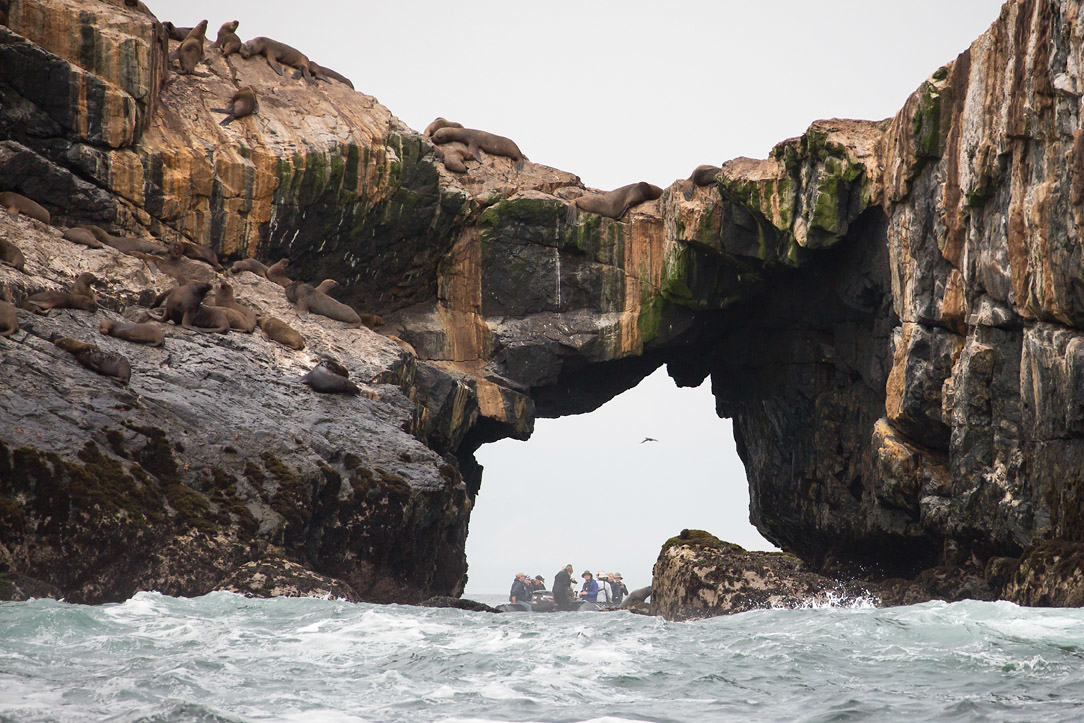 Silversea Cruises - All Inclusive Wild Expeditions Silversea Cruises - All Inclusive Wild Expeditions